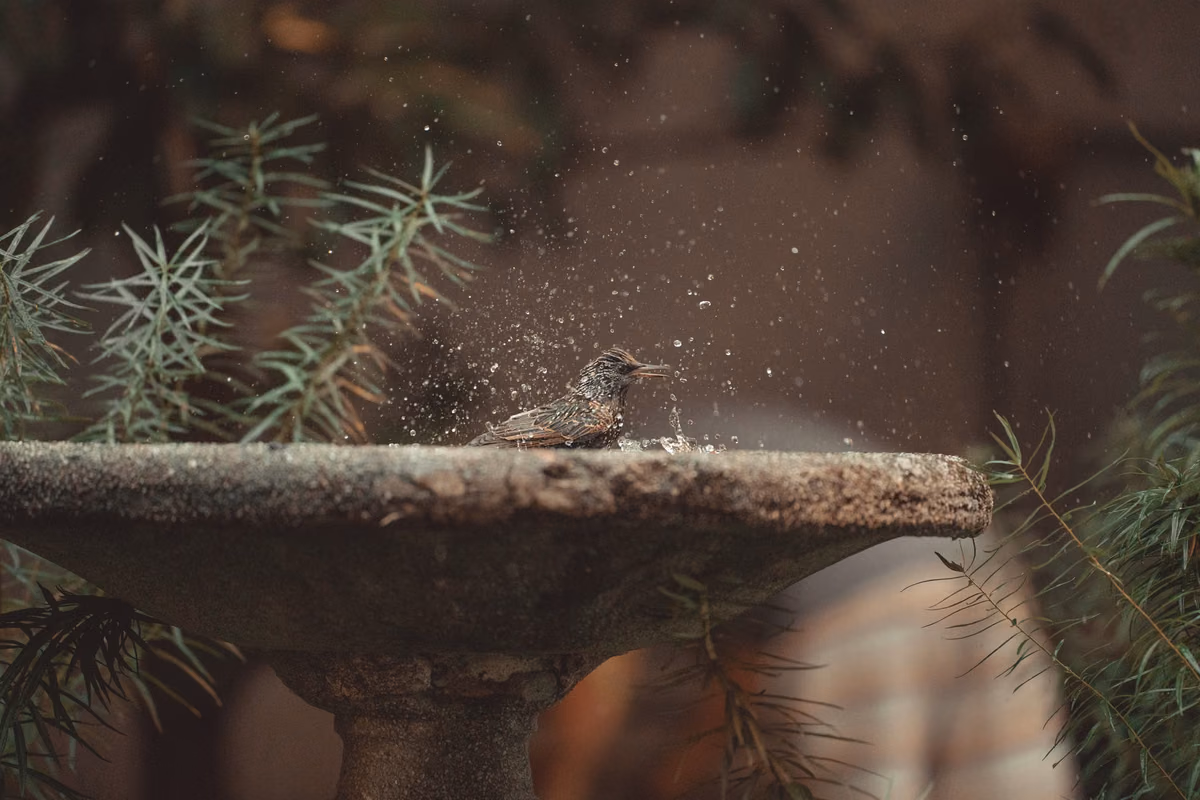 Comment faire une fontaine d'oiseaux de fleurs